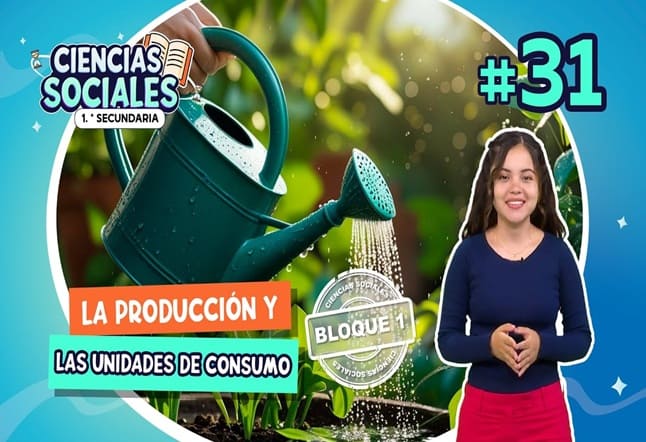 Capítulo 31°: La producción y las unidades de consumo